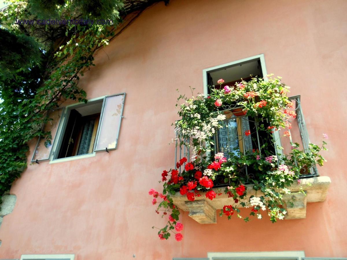 Ca' Del Vento B&B Аркуньяно Экстерьер фото